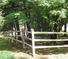 Rail Fencing
